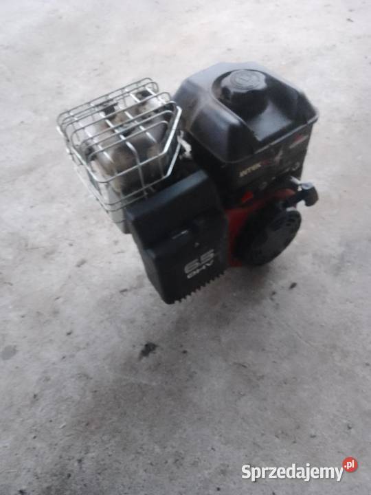 Silnik łuparka Bochnia