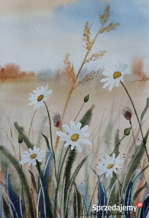 Akwarela Akwarelka Obraz pt Łąka 4 Malarstwo Poznań