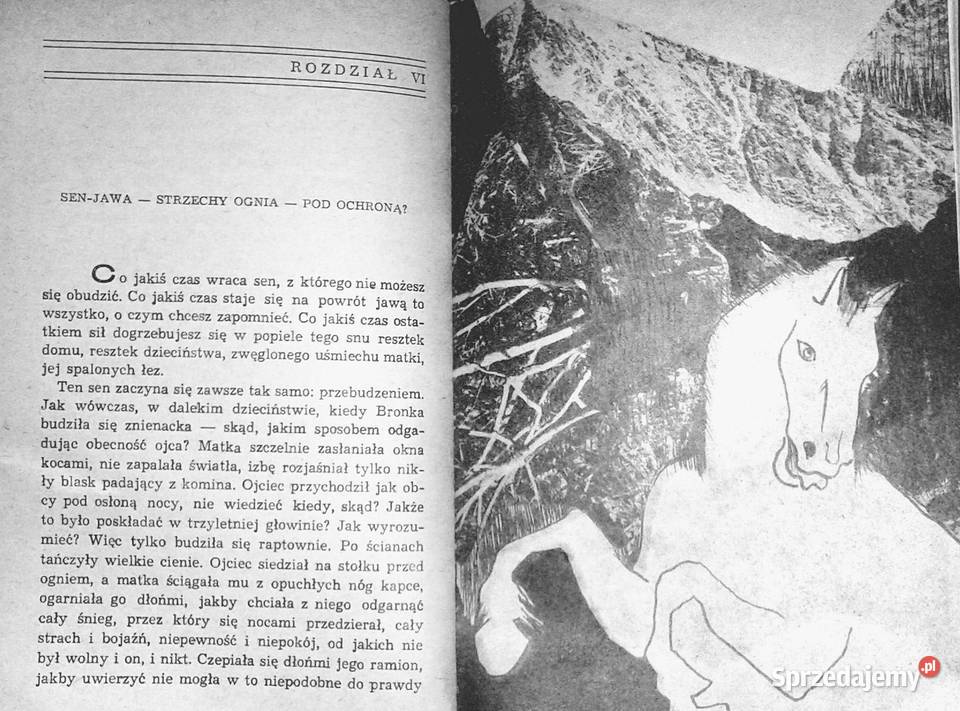 Kto sieje wiatr Maria Józefacka Rok wydania 1978 Pozostałe Chełm