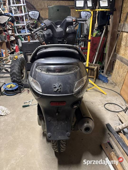 Peugeot Elystar 125 Rok produkcji 2005 Dzikowiec