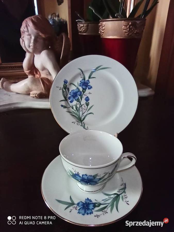 Filiżanka z takerzykiem deserowym Svancholm Antyki, Sztuka, Kolekcje pomorskie Gdańsk sprzedam