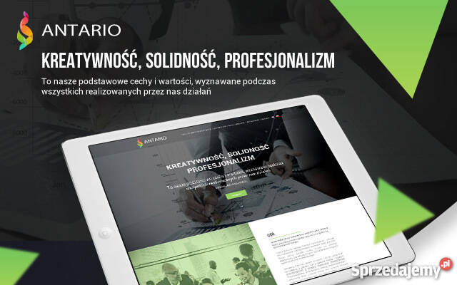 Tworzenie stron i sklepów internetowych Rzeszów