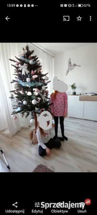 Choinka naturalny świerk zielony kujawsko-pomorskie Lipno