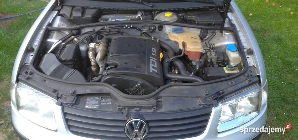 Passat B5 sedan Samochody osobowe Bargły