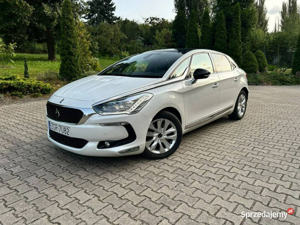 DS Automobiles DS 5 DS 5 20 BlueHDI Panorama