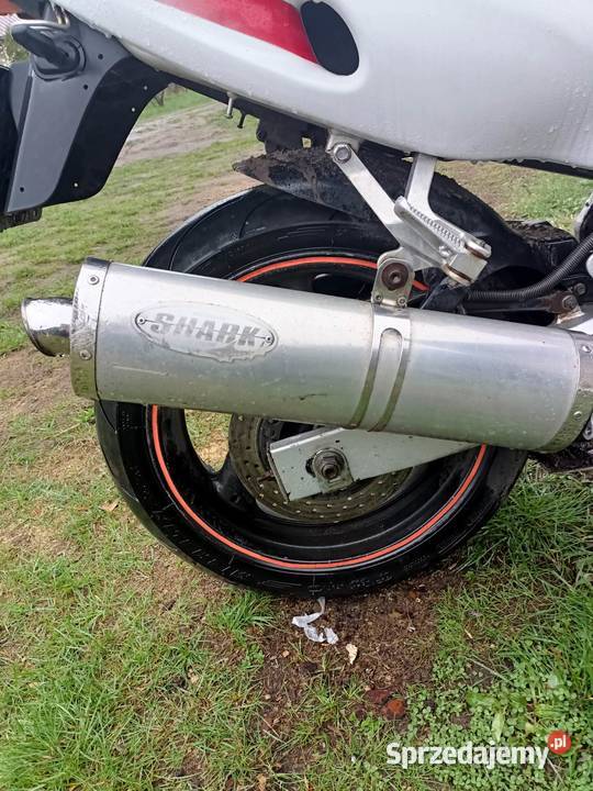 yamaha thundercat 600 80000km