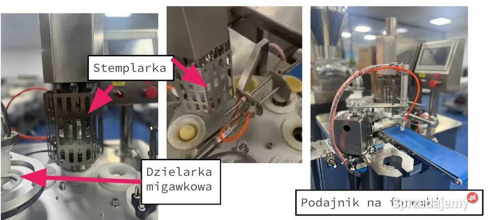 Linia Maszyna do produkcji korpusów Zielonka