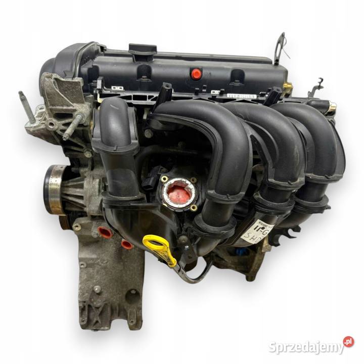 SILNIK SHDA Ford Focus II MK2 C C 16 16V 100 Chełm