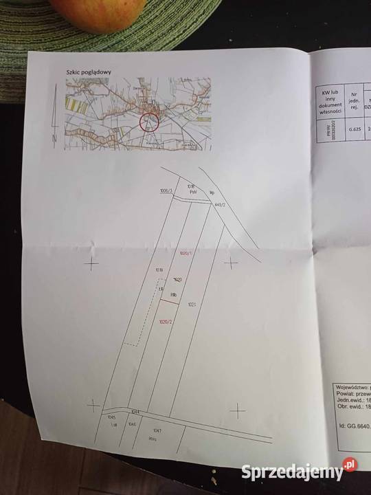 Sprzedam działkę rolną 42 ary Zarzecze k