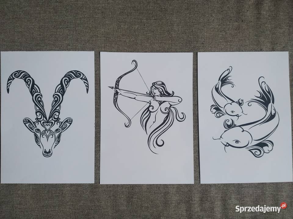 Rysunki seria Znaki Zodiaku cienkopis blok t A4 Warszawa sprzedam