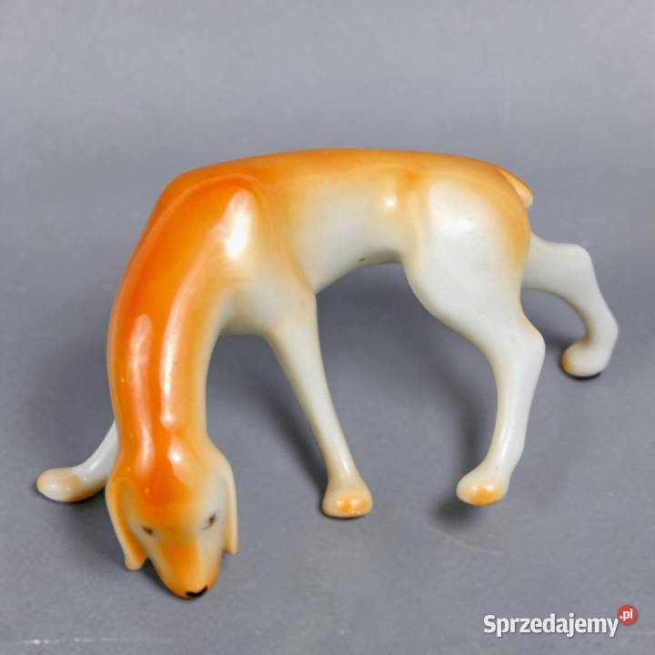 Pies wyżeł krótkowłosy Aurl Kldor porcelana Antyki, Sztuka, Kolekcje sprzedam