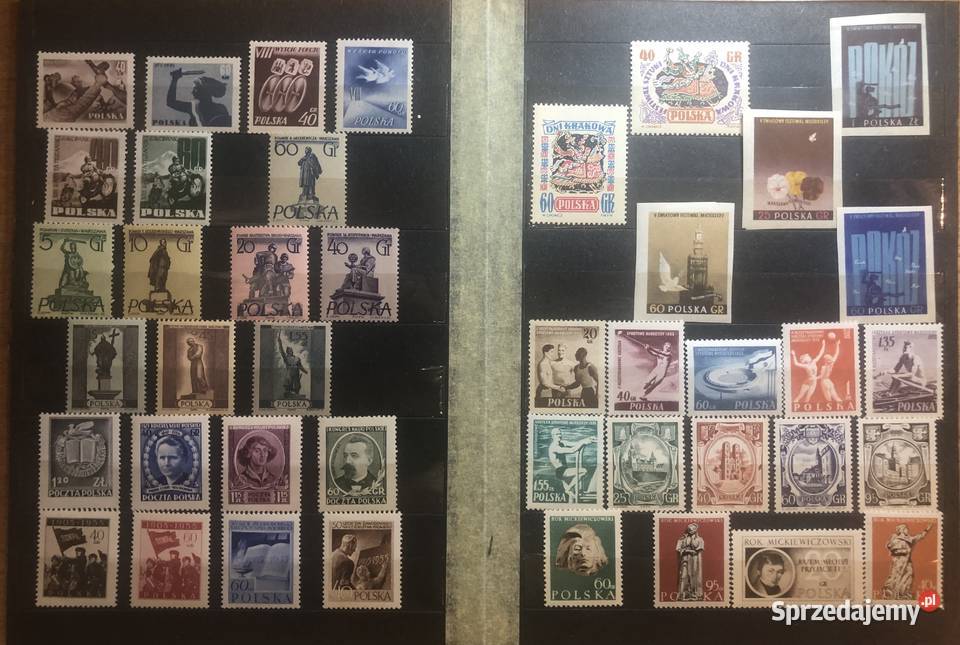 Znaczki Rocznik 1955 czyste Pabianice