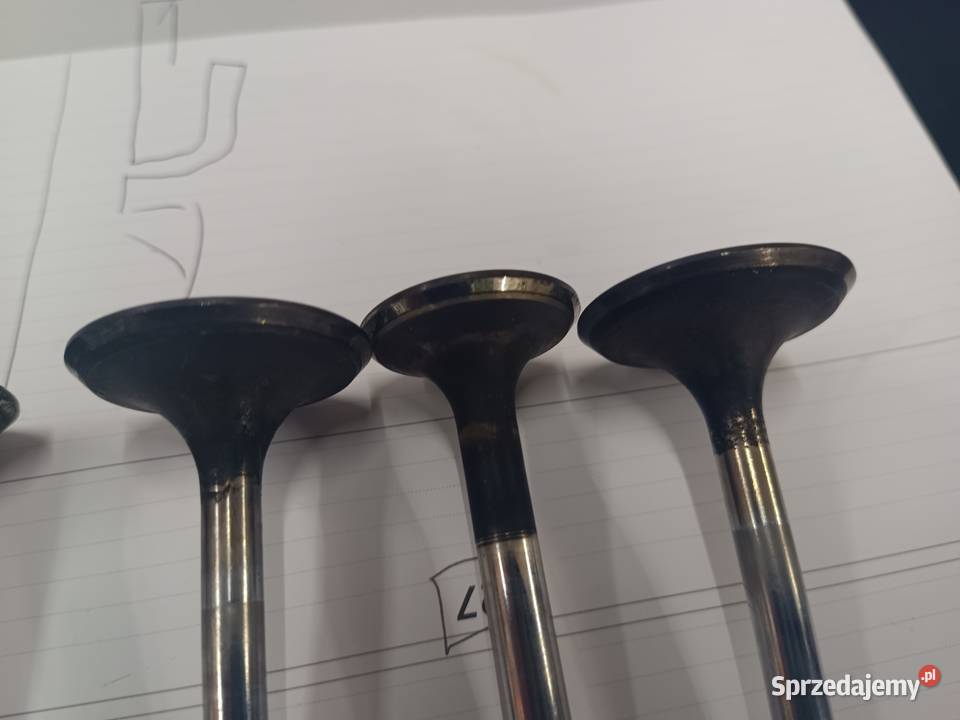 Zawory silnika peugeot j5 1989r 25D Słupsk