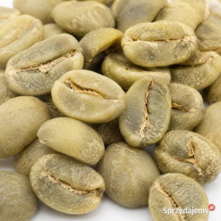 Kawa zielona niepalona Robusta 100 Wietnam Warszawa