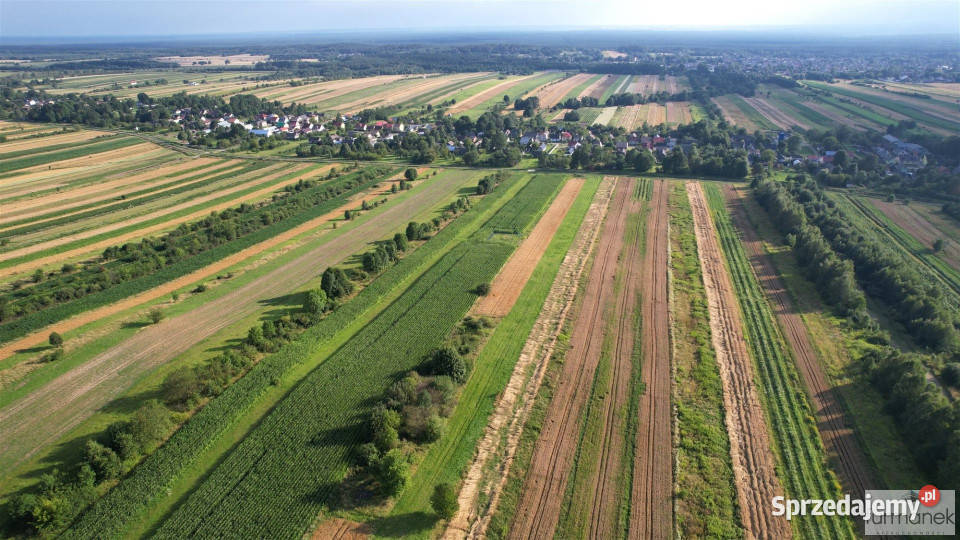 Grunt sprzedam Majdan Nepryski 30480m2 lubelskie sprzedam