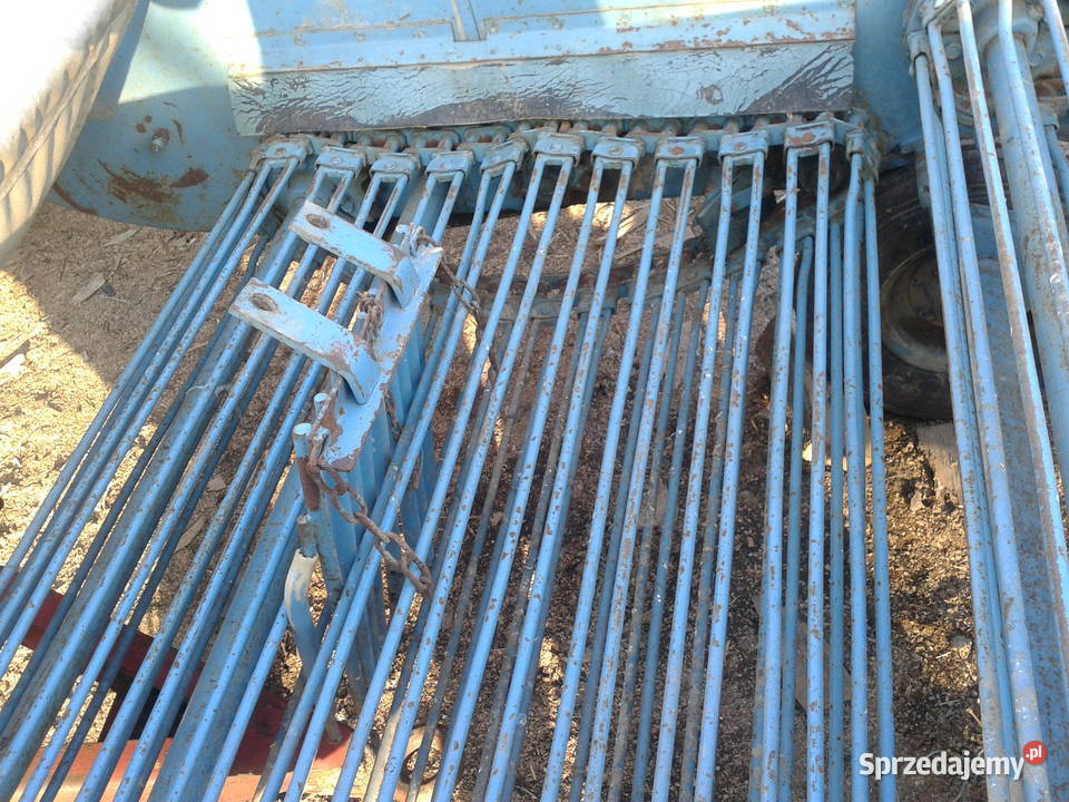 kopaczka do ziemniaków elewatorowa Nowa Słupia