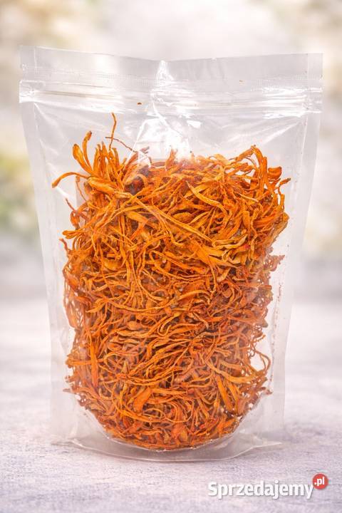 Kordyceps suszony Cordyceps 100g Maczużnik