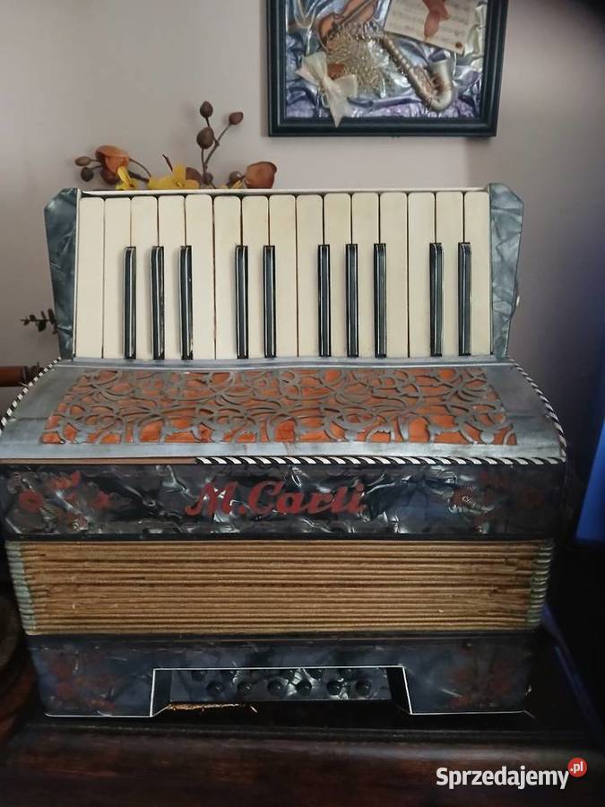 Akordeon M Carli Casio Kraków