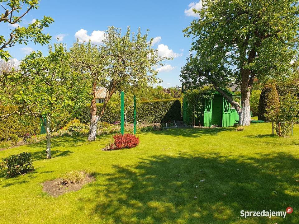 Sprzedam ogródek działkowy 460 m Ostróda