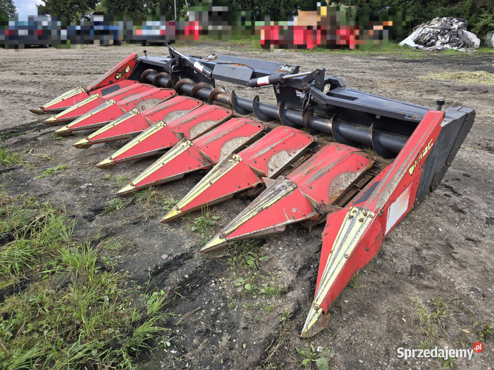 Przystawka do kukurydzy OLIMAC Drago 8 TR Claas Zbożowe podlaskie