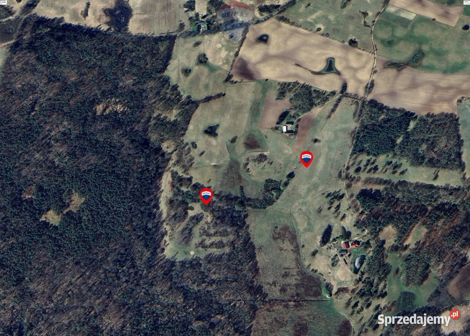 Na przedaż kompleks działek 146500m2 Nowe Worowo zachodniopomorskie sprzedam
