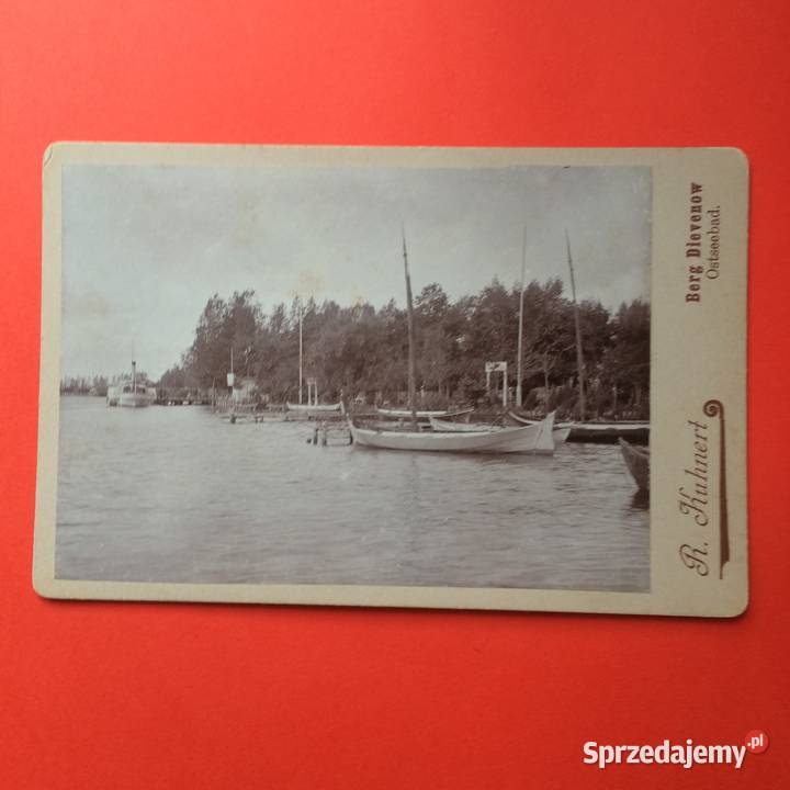 1564 Zdjęcie Niemieckie Dziwnów Antykwariat
