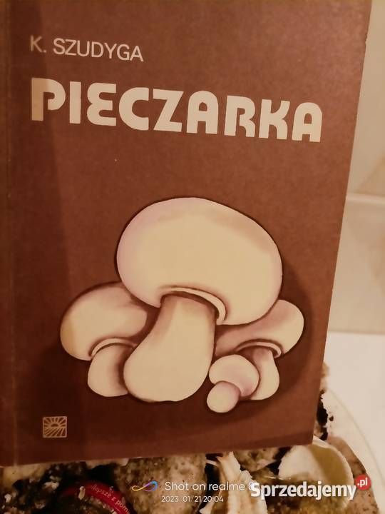 Pieczarka książki Szudyga księgarnia Praga Warszawa