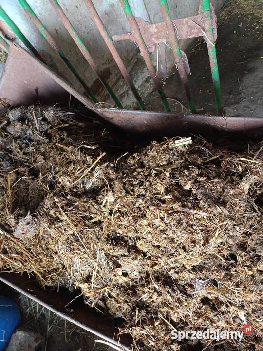 Sprzedam Obornik Konski