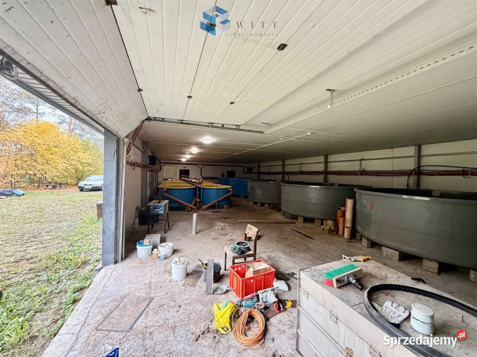 Lokal 342 metry Łukta 4093zł/m2