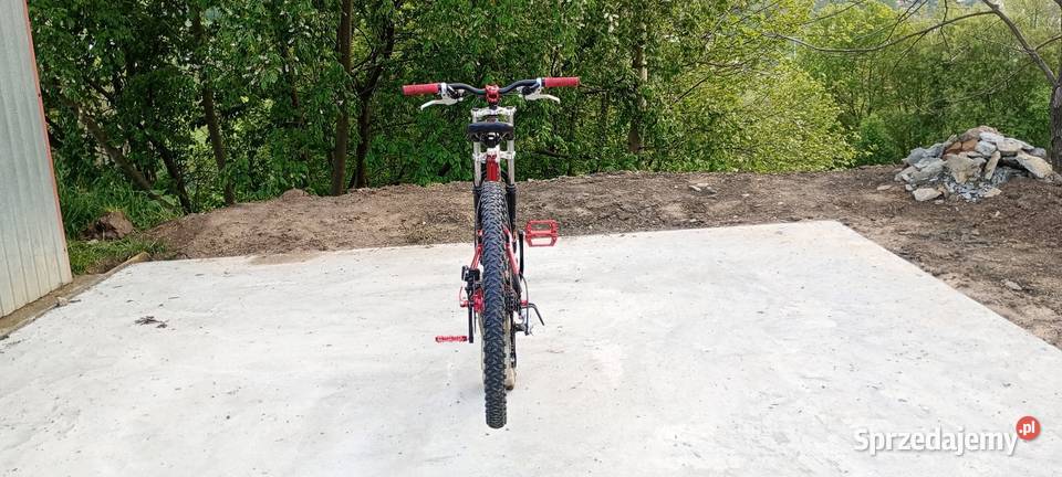 Rower Downhill Delta Sport 505 Połomia