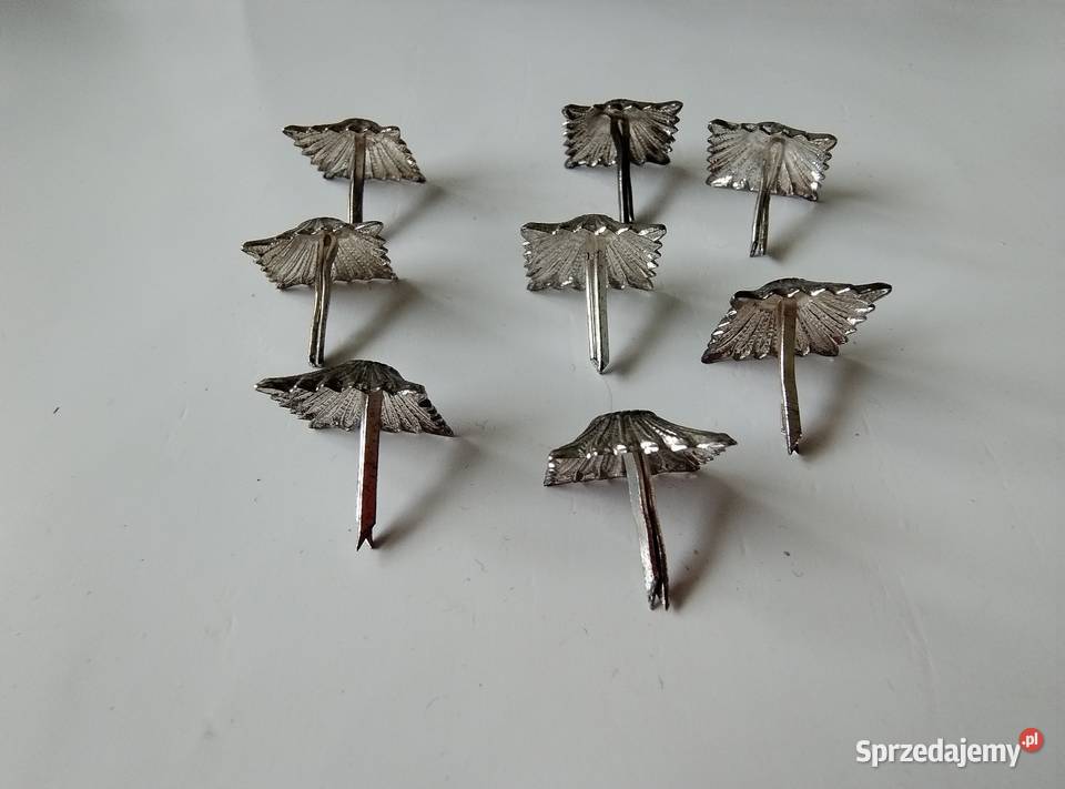 Gwiazdki dystynkcyjne śląskie Żory