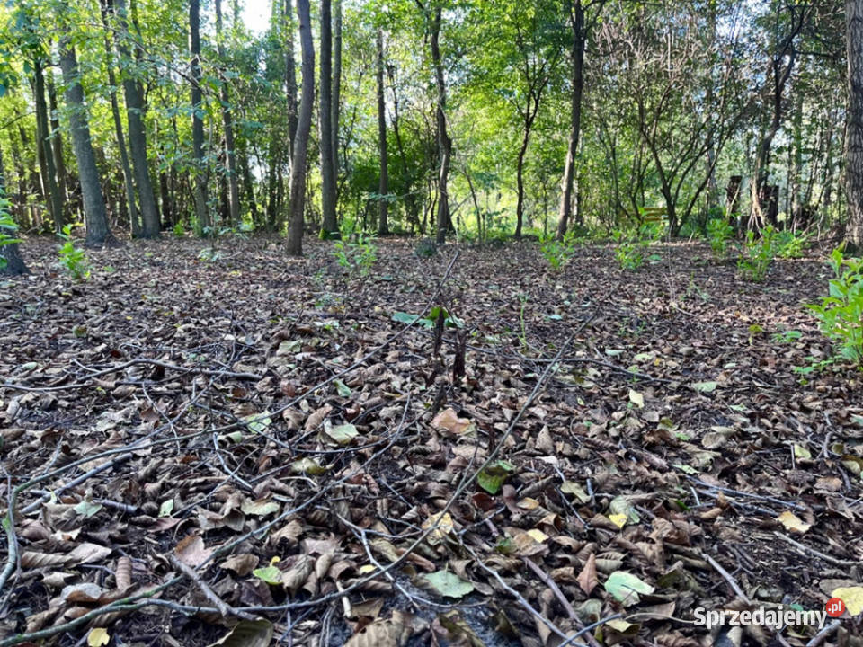 Duża działka rolnobudowlana 28823 ha Mariew mazowieckie sprzedam
