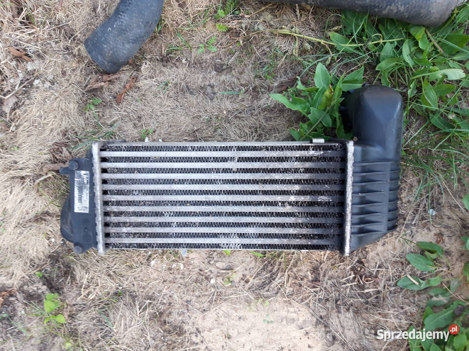 Citroen 20 hdi 2001 r intercooler świętokrzyskie Kostomłoty Drugie
