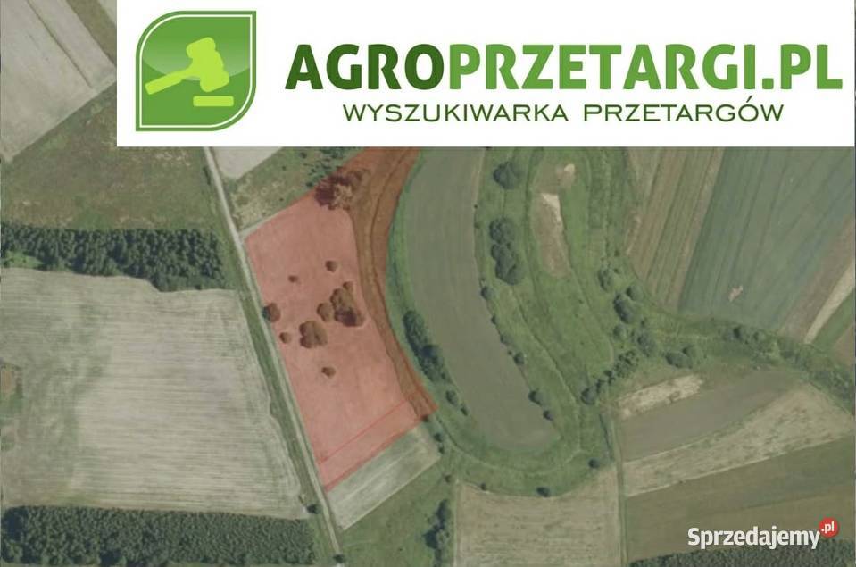 Dzierżawa 702 ha gruntu rolnego małopolskie Bochnia sprzedam