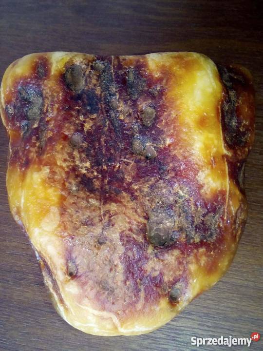 Bursztyn bałtycki bryła 220g Krynica Morska