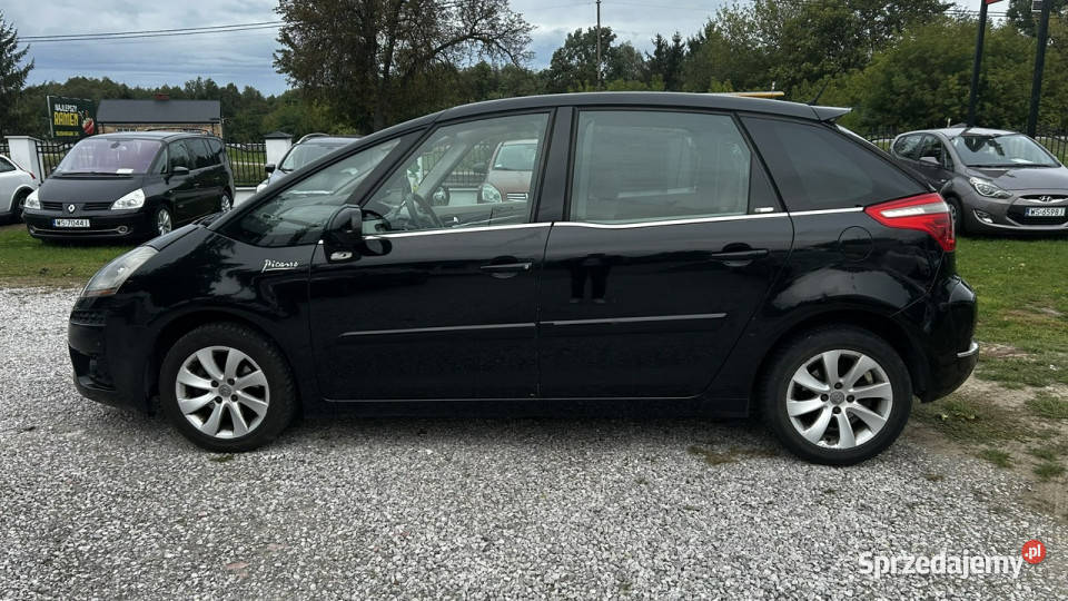 Citroen C4 Picasso I 20062013 lakier metallic Nowe Iganie