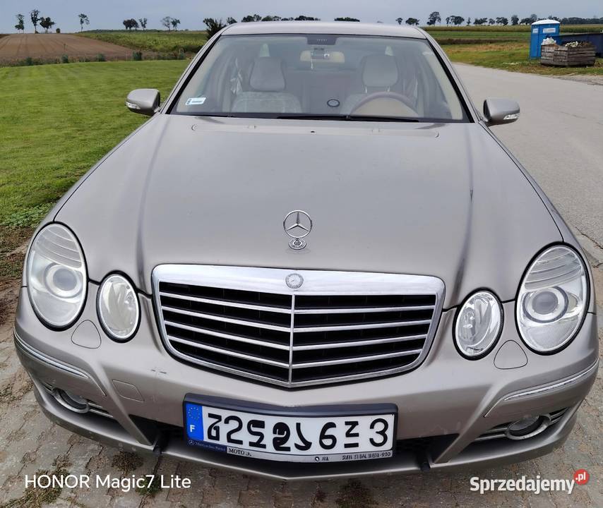Mercedes Avandgarda