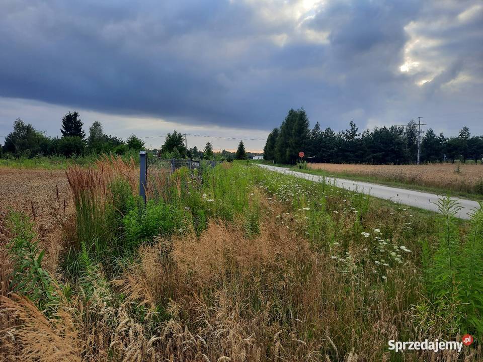 Okazja Działka Budowlana 12 Ary 1200 m2 Lublin