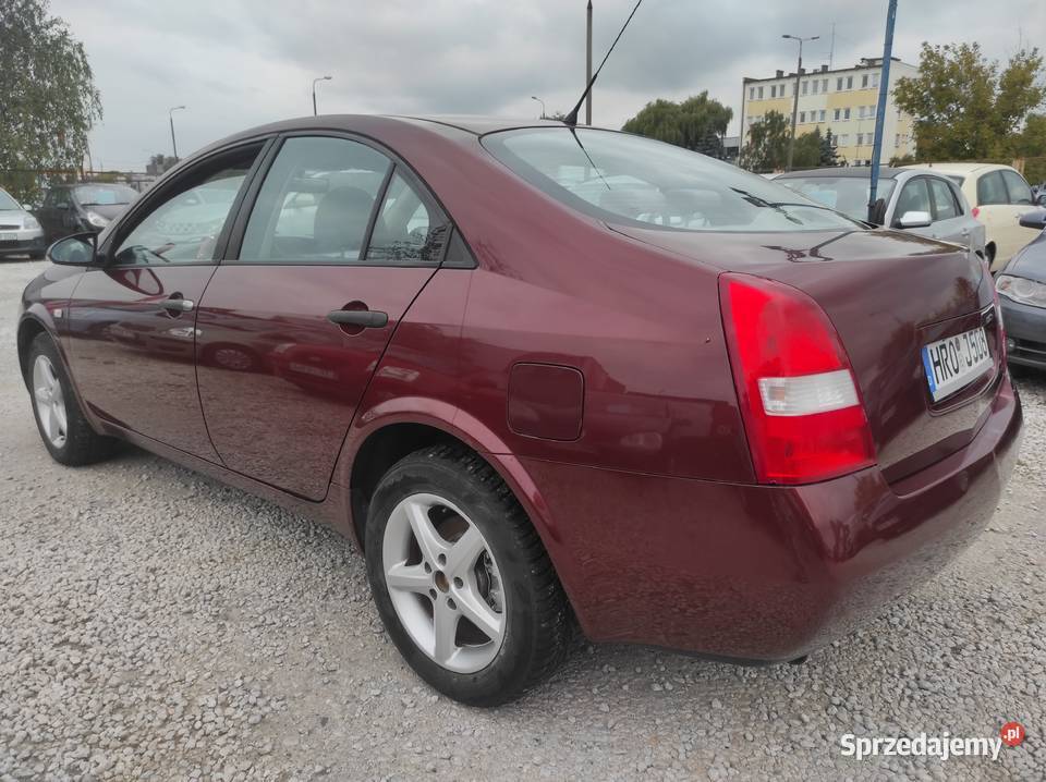 NISSAN PRIMERA 2003 R 18 BENZYNA BEZ RDZY 115KM Toruń