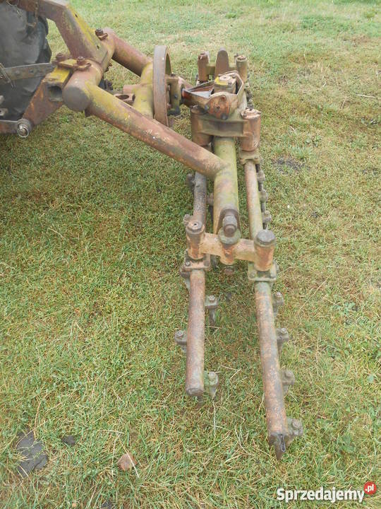 brona aktywna śląskie Dąbrowa Zielona