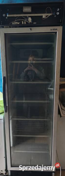 Szafa mroźnicza mazowieckie Grójec