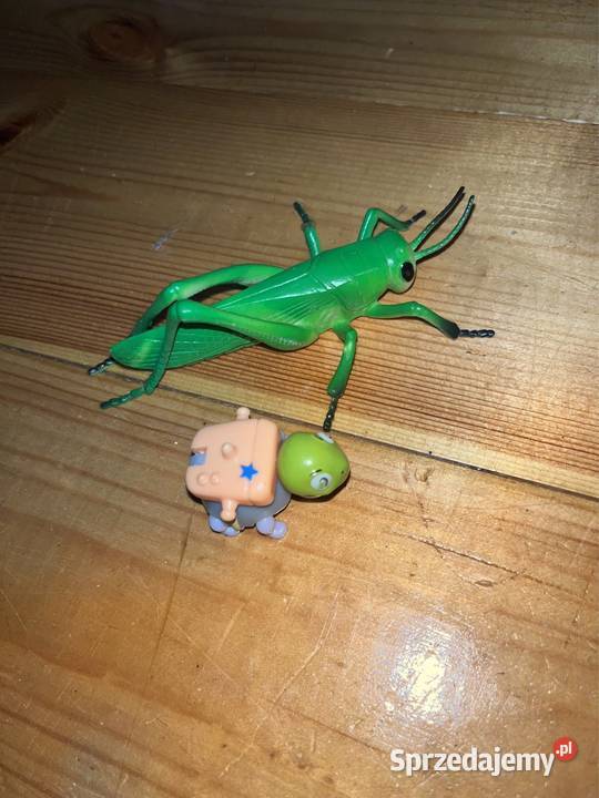 figurka żółw kompas i konik polny pasikonik duża wielkopolskie sprzedam