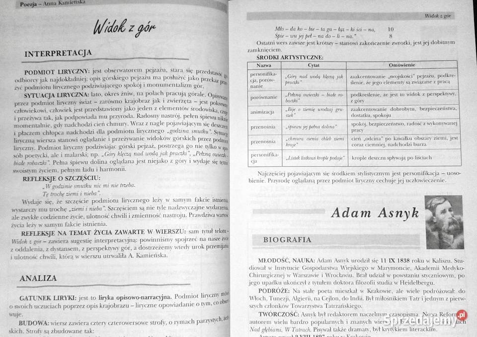 Powtórka z literatury kl 6 Szkoła podstawowa Chełm