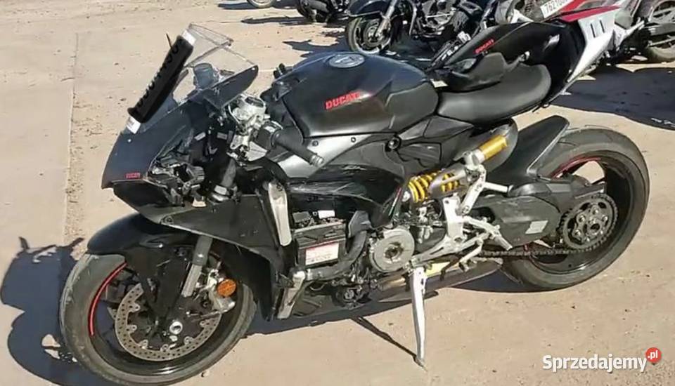 DUCATI Panigale V2 155 2024 Ducati