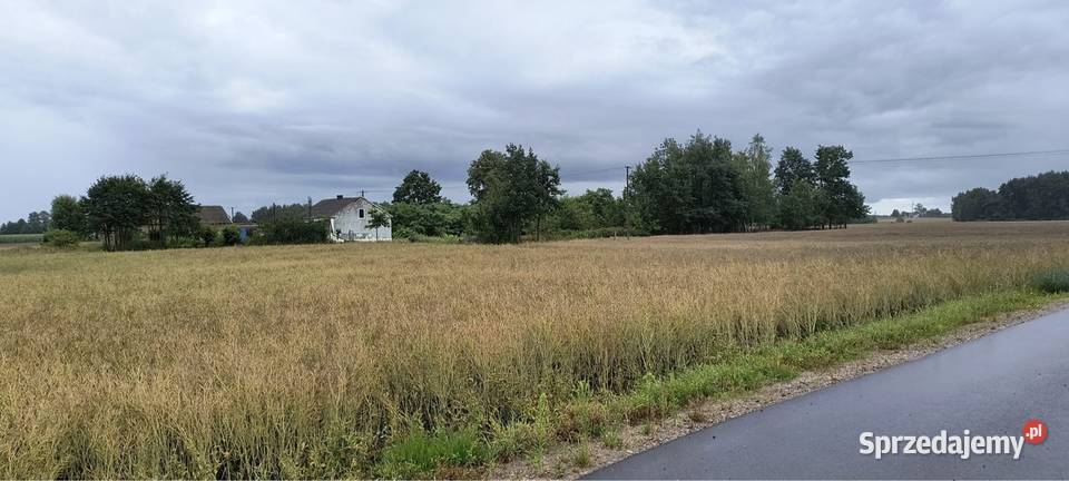 Działka budowlana Babiec Więczanki gm Rościczewo