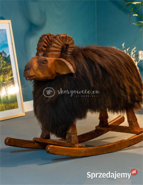 Baran baranek na biegunach brązowy 40x50x80 małopolskie Szaflary sprzedam
