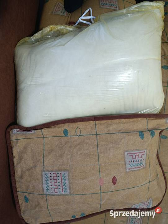 tapczan kanapa łóżko sofa sprzedam Sofy i kanapy Poznań