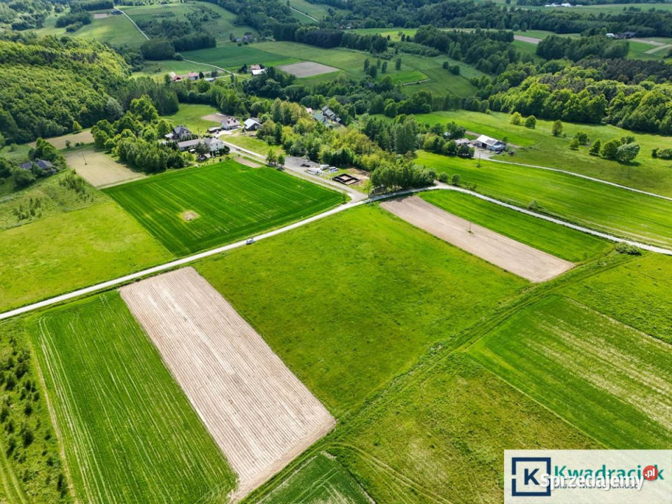 sprzedaży działki 10500m2 Czermna budowlana