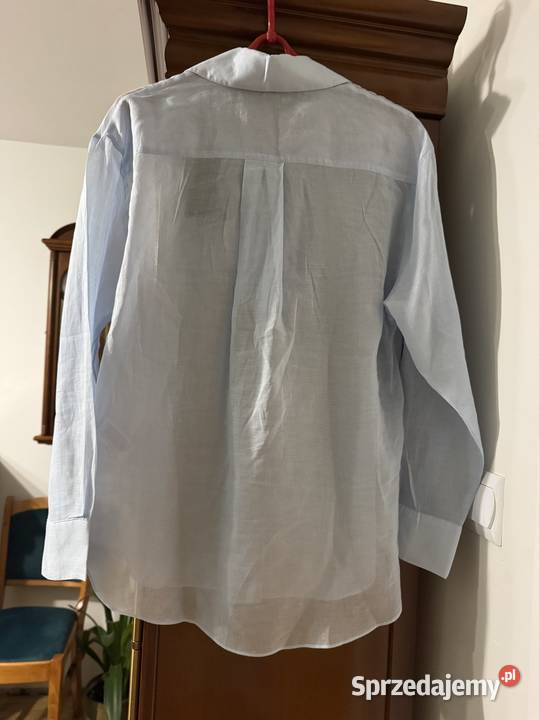 Bluzka damska XS błękitna Massimo Dutti bawełna Częstochowa