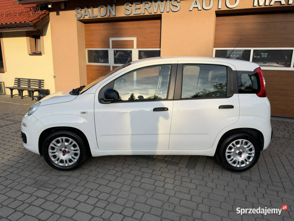 Fiat Panda Rezerwacja II 20032012 biały Orzech